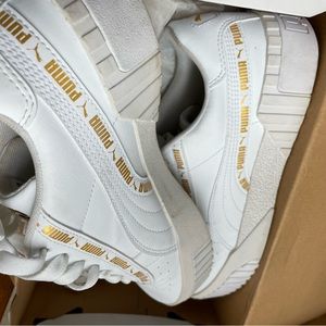 White pumas